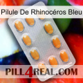 Pilule De Rhinocéros Bleu cialis3